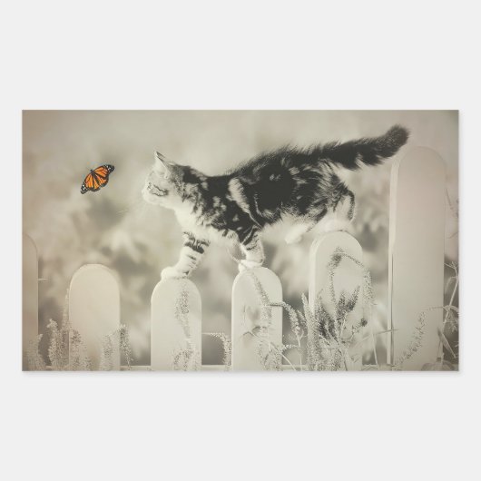 Kitten en vlinder rechthoekige sticker (Voorkant)