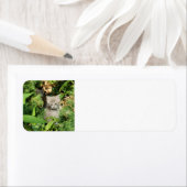 Kitten Etiket (Insitu)