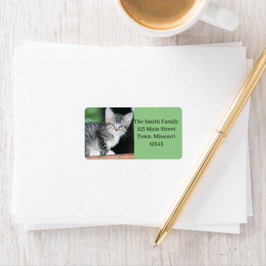 Kitten Etiket (Insitu)