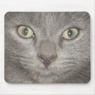 Kitten Face2 Mousepad -Grijs Muismat