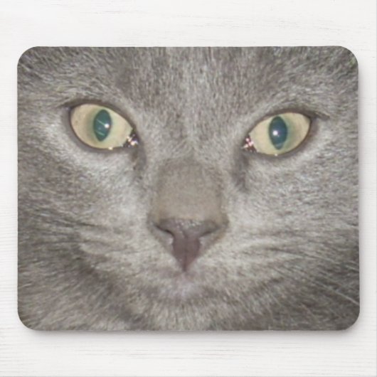 Kitten Face2 Mousepad -Grijs Muismat (Voorkant)