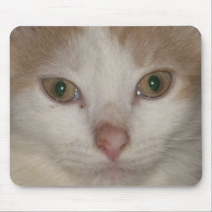 kitten face 1 mousepad muismat