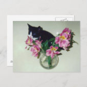 Kitten Flowers Vase Briefkaart (Voorkant / Achterkant)