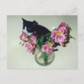 Kitten Flowers Vase Briefkaart (Voorkant)