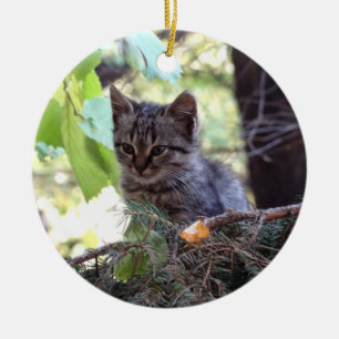 Kitten Foto Baby Cat Circle Ornament