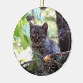 Kitten Foto Baby Cat Circle Ornament (Links)