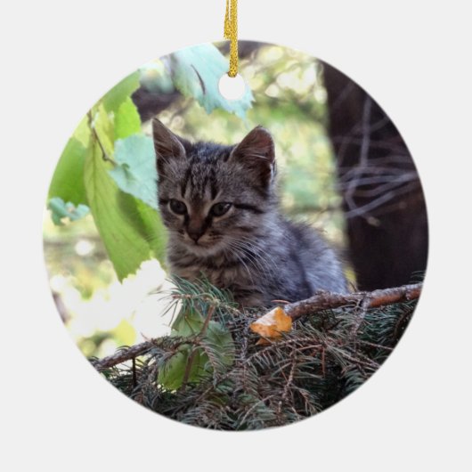 Kitten Foto Baby Cat Circle Ornament (Achterkant)