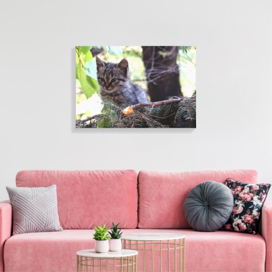 Kitten Foto Baby Cat Single Print (Insitu (Woonkamer))