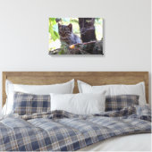 Kitten Foto Baby Cat Single Print (Insitu (Slaapkamer))