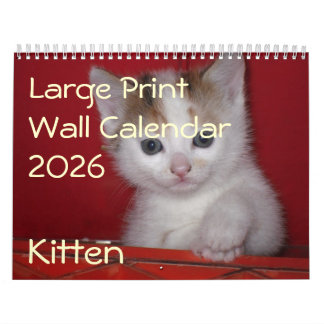 Kitten Foto Muurkalender 2026 Kalender
