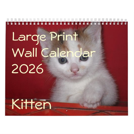 Kitten Foto Muurkalender 2026 Kalender (Hoes)