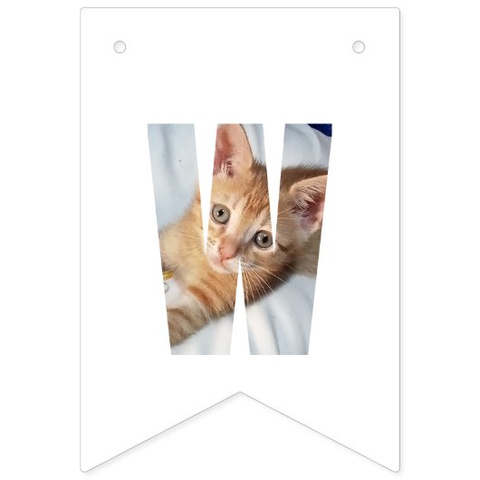 Kitten Foto  Vlaggetjes (Tweede vlag)