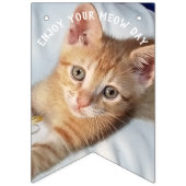 Kitten Foto  Vlaggetjes (Eerste vlag)