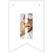 Kitten Foto  Vlaggetjes (Derde vlag)