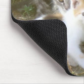 Kitten Friends Mousepad Muismat (Hoek)