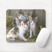 Kitten Friends Mousepad Muismat (Met muis)