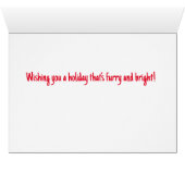 Kitten Fun (Binnen Horizontaal (Onder))