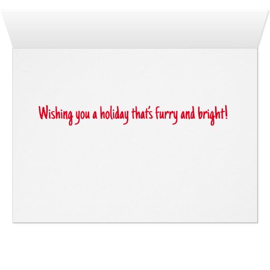  Kitten Fun (Binnen Horizontaal (Onder))