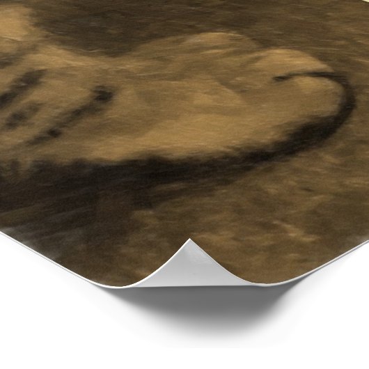 Kitten Gangs Poster (Hoek)