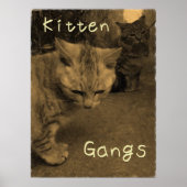 Kitten Gangs Poster (Voorkant)