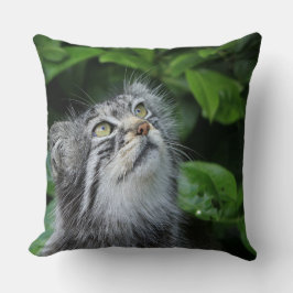 Kitten Gezegde A Prayer Kussen