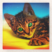 Kitten Glazen Onderzetter (Voorkant)