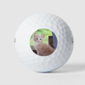 Kitten Golfballen (Voorkant)