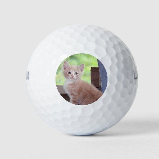 Kitten Golfballen (Voorkant)