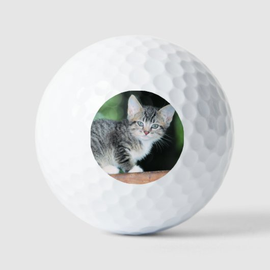 Kitten Golfballen (Voorkant)