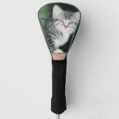 Kitten Golfheadcover (Voorkant)
