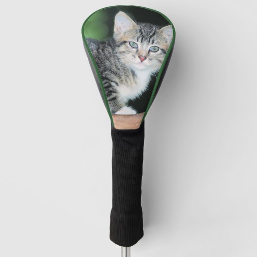 Kitten Golfheadcover (Voorkant)