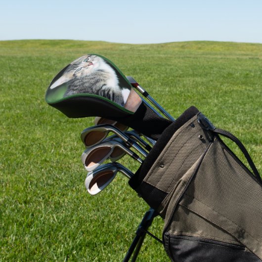 Kitten Golfheadcover (Insitu)