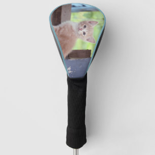 Kitten Golfheadcover