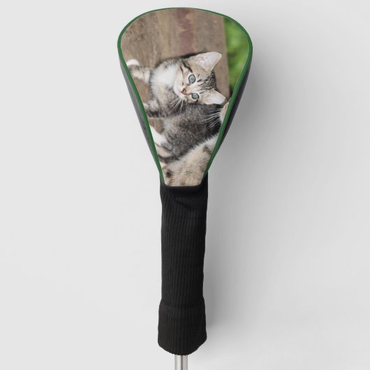 Kitten Golfheadcover (Voorkant)