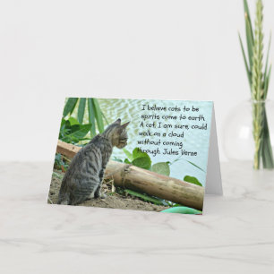 Kitten Groeten Kaart met Quote