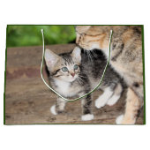 Kitten Groot Cadeauzakje (Voorkant)