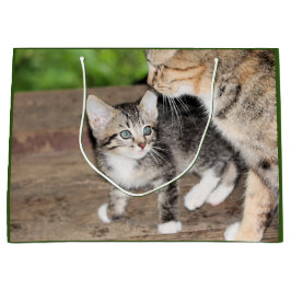 Kitten Groot Cadeauzakje