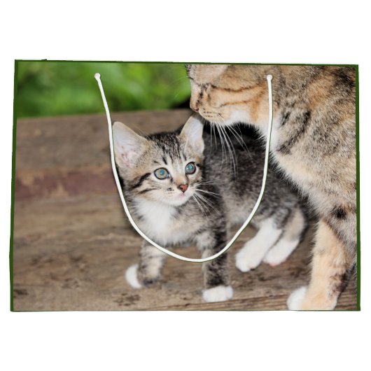 Kitten Groot Cadeauzakje (Achterkant)