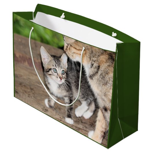 Kitten Groot Cadeauzakje (Achterkant Gekanteld)