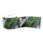 Kitten Grosgrain Lint (Spoel)