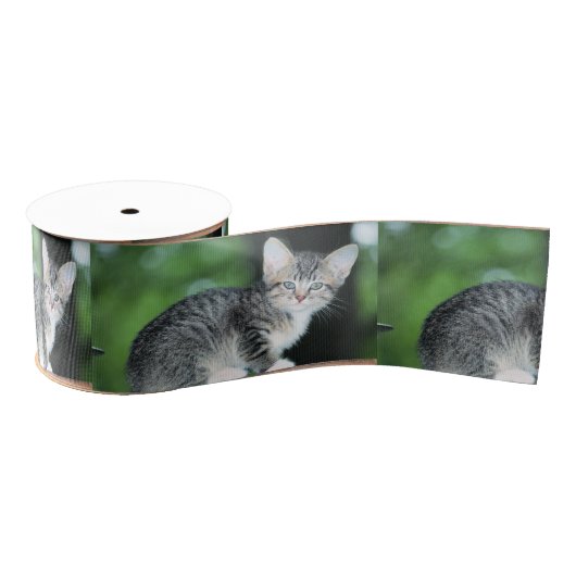 Kitten Grosgrain Lint (Spoel)