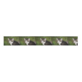 Kitten Grosgrain Lint (Voorkant)