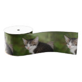 Kitten Grosgrain Lint (Spoel)