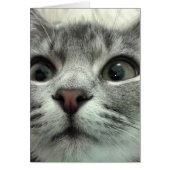  Kitten, Gute Besserung (Voorkant)