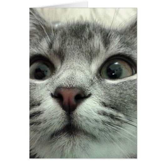  Kitten, Gute Besserung (Voorkant)