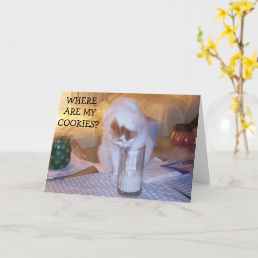 KITTEN HEEFT KOEKJES NODIG OM ONS EEN FIJNE VERJAA KAART (Gele Bloem)