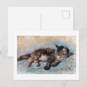 Kitten, Henriette Ronner-Knip Briefkaart (Voorkant / Achterkant)