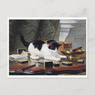 Kitten, Henriette Ronner-Knip Briefkaart