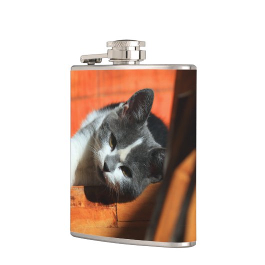 Kitten Heupfles (Links)