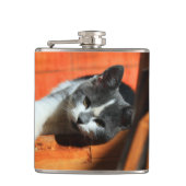 Kitten Heupfles (Voorkant)